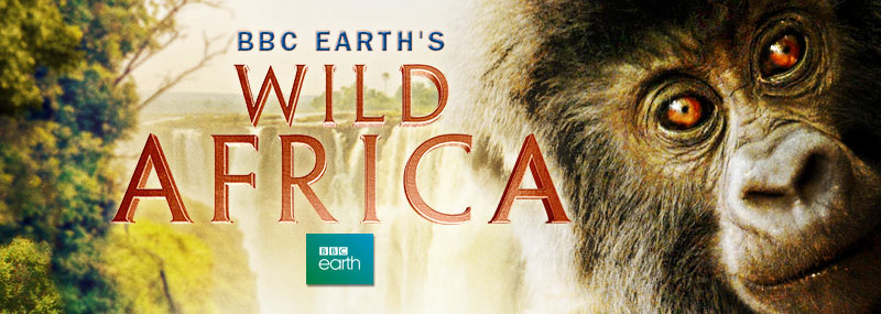 Giant Screen Theater Immersive Documentaries Bbc Earths Wild