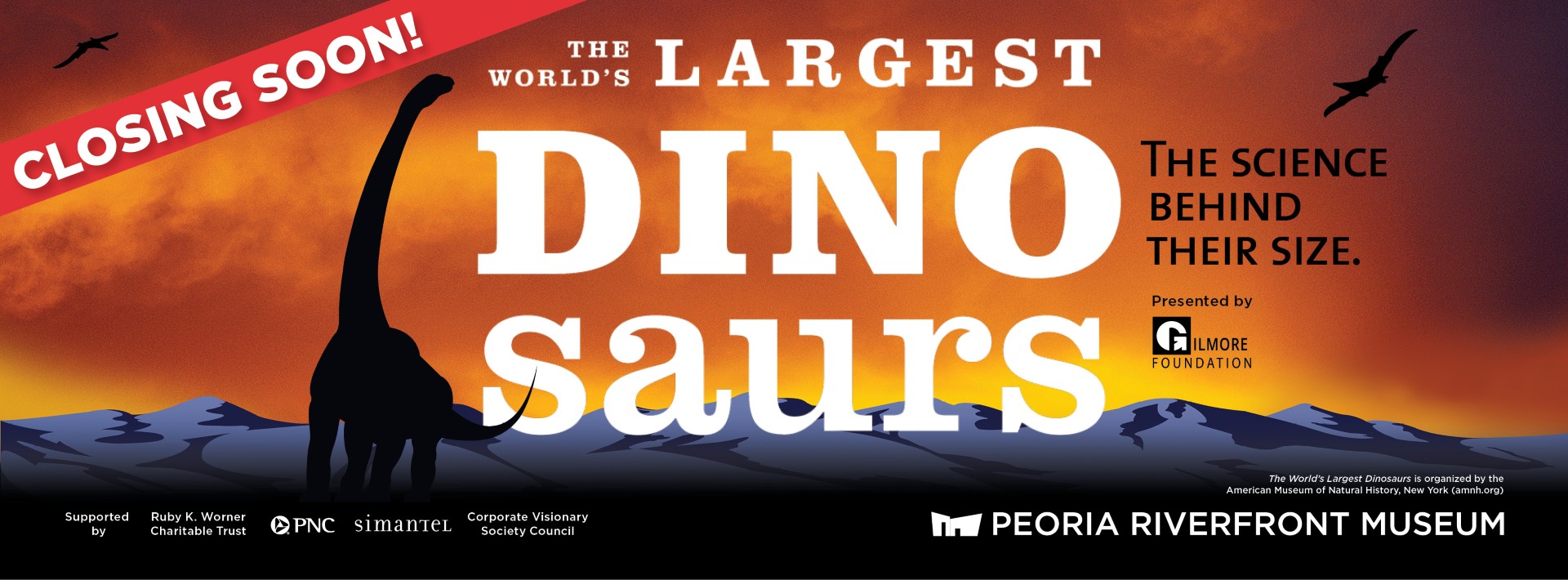 09_16_50_222_thumbnail_dino_fb_cover_page2