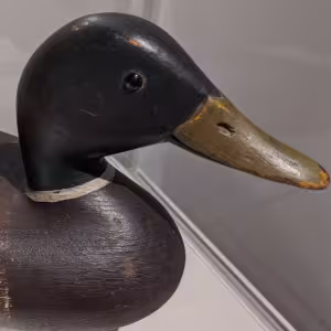 Center for American Decoys