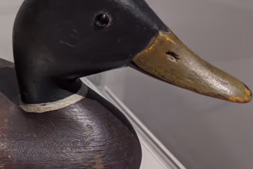 Center for American Decoys