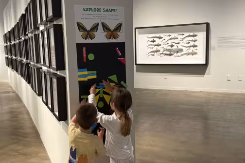 A photo of the "Exquisite Creatures" gallery, where two children are engaging with magnets on the wall to create their own insects out of shapes.