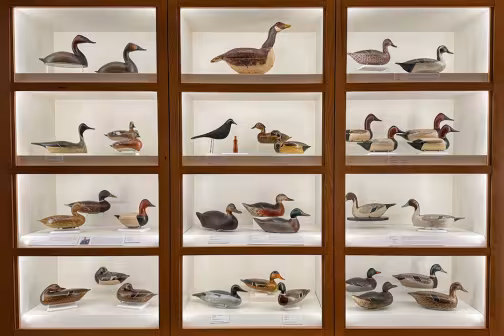 Decoys