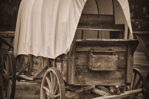 wagon