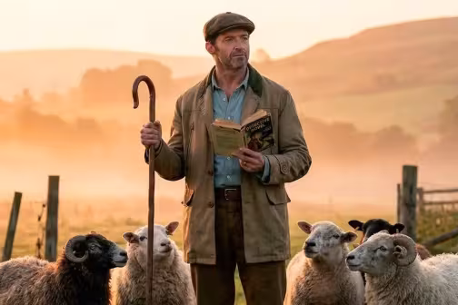 Sheep Detectives