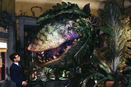Little Shop of Horrors