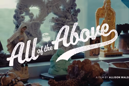 All of the Above (2026)