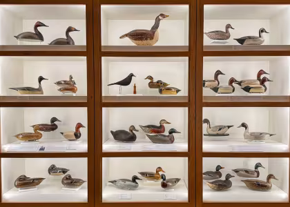 Decoys