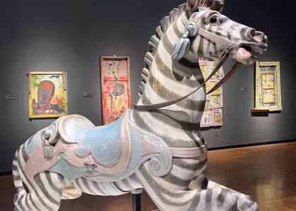 zebra