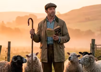 Sheep Detectives