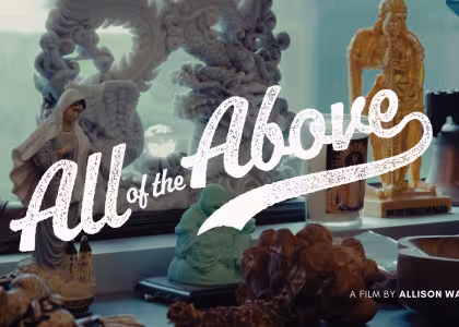 All of the Above (2026)