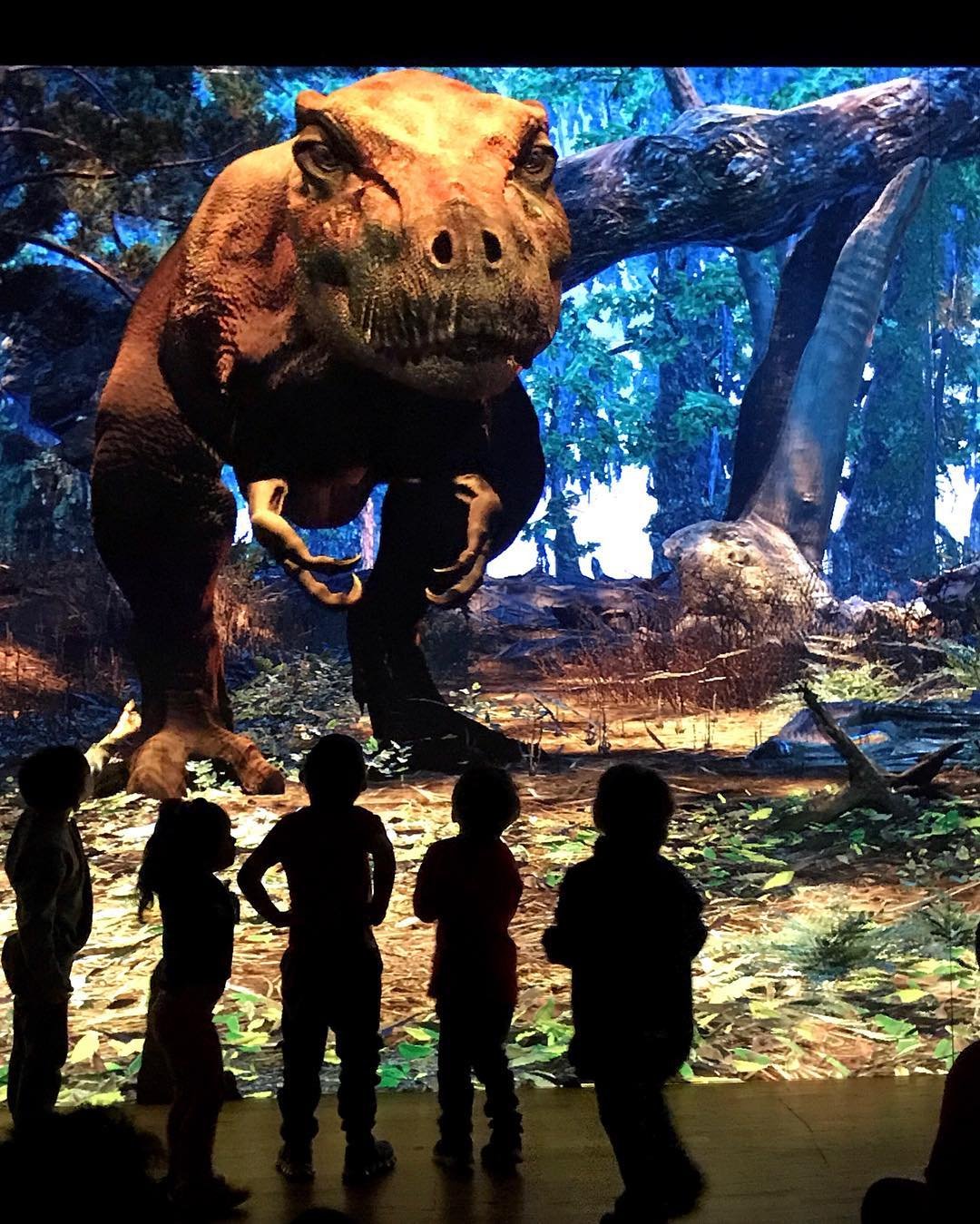 T Rex Amnh