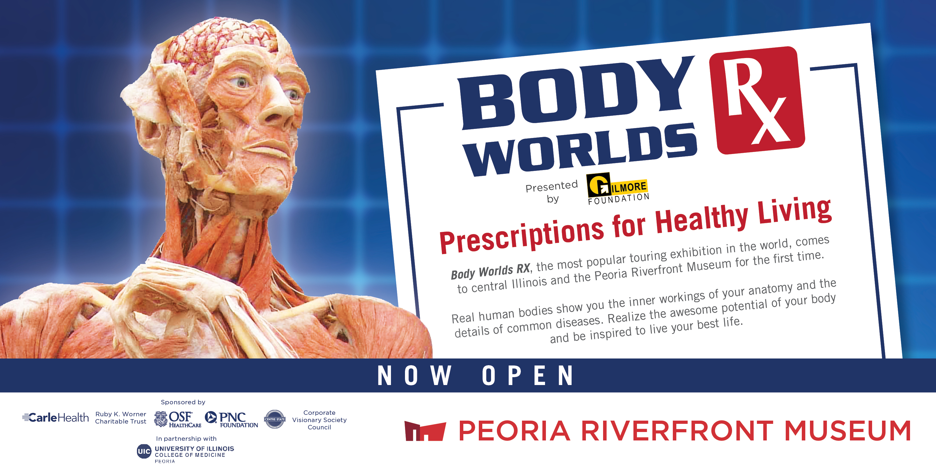 Exhibit Body Worlds Rx Wb3