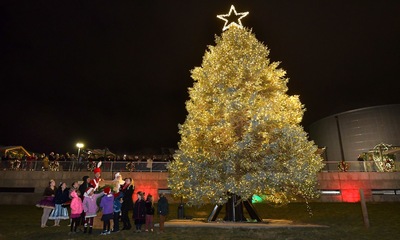 Tree Lighting Prm 0338