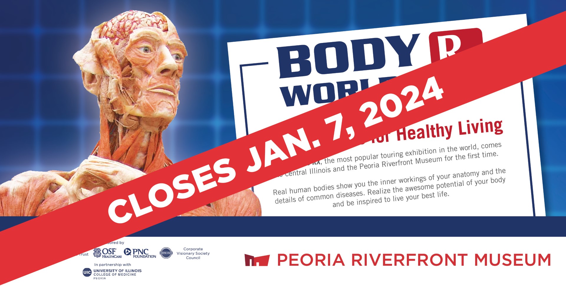 Thumbnail Exhibit Body Worlds Rx Wb