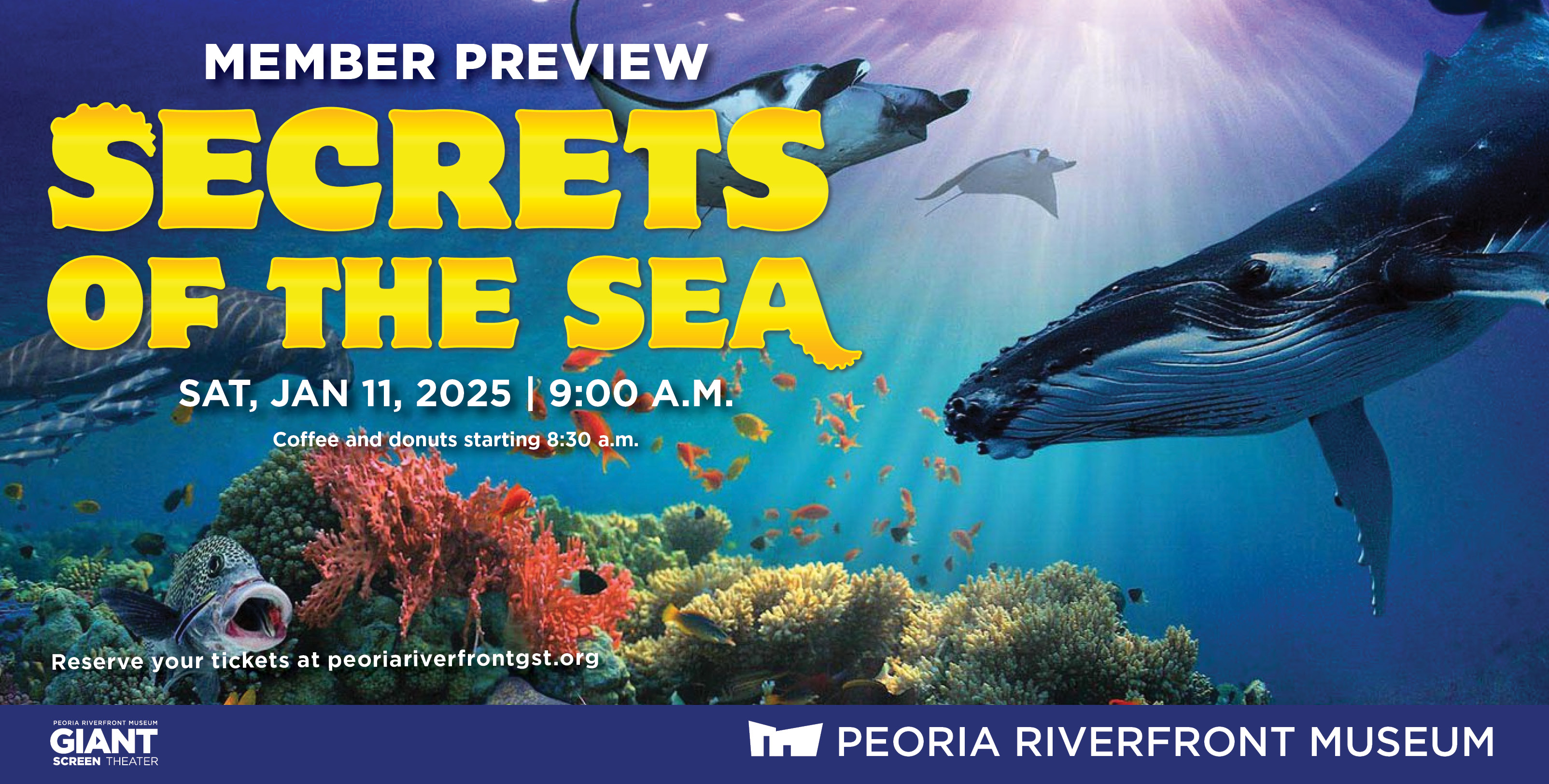 Membership Sat Secrets Of Sea Wb